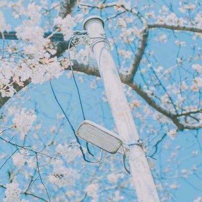 三亚房地产信息